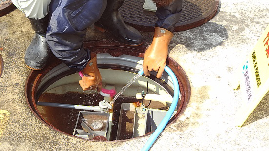 手が届くところはブラシで清掃